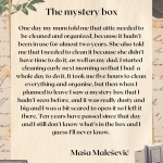 Student short story 'The Mystery Box' featured at Excellent Education platform.